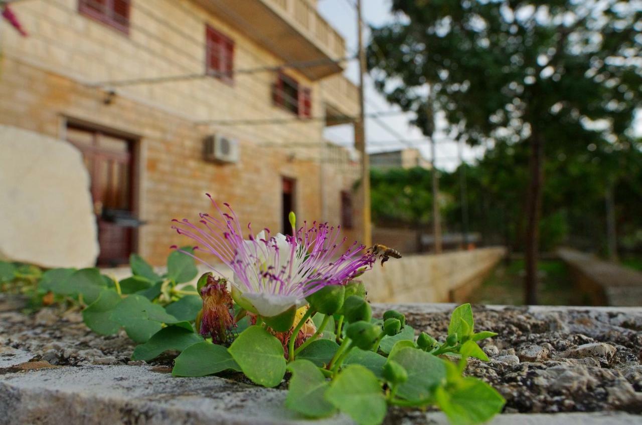 Large And Charming Apartment Near Beach With Big & Sunny Terrace Sumartin Luaran gambar